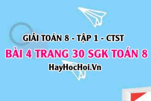 Giải bài 4 trang 30 Toán 8 Tập 1 SGK Chân trời sáng tạo
